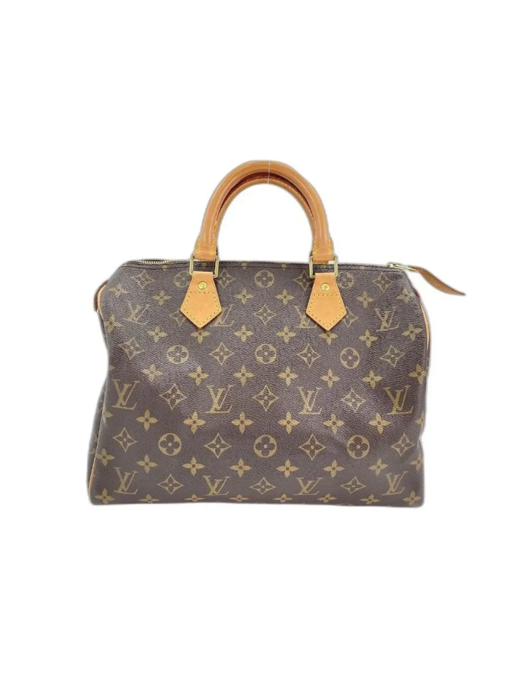 Louis Vuitton Handbag Speedy